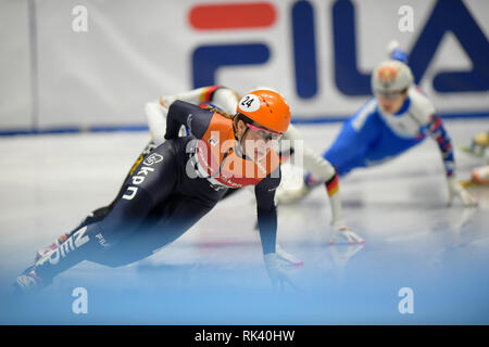 Torino, Italien. 9. Februar, 2019. ISU World Cup Short Track Speed am Tazzoli Eisbahn Torino statt Skaten. Im Bild SCHULTING Suzanne NED Senior W Konkurrent. Damiano Benedetto/Alamy leben Nachrichten Stockfoto