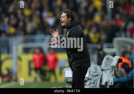 Dortmund, Deutschland. 09 Feb, 2019. firo: 09.02.2019, Fußball, 1.Bundesliga, Saison 2018/2019, BVB, Borussia Dortmund - TSG Hoffenheim Co - Trainer Edin Terzic (36), BVB | Verwendung der weltweiten Kredit: dpa/Alamy leben Nachrichten Stockfoto