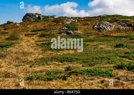 Straße auf die Spitze des Babin zub (des Grandmather Zahn), der die schönsten Gipfel des Stara Planina (Balkan-gebirge) in Serbien Stockfoto