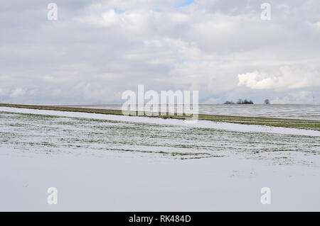 Winterlandschaft mit bewölktem Himmel und Schnee auf den Feldern und Wiesen Stockfoto