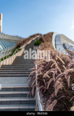 West Kowloon, Hong Kong May 04, 2019: Hongkong West Kowloon Station. Es ist die einzige Station in der Hong Kong Abschnitt und die Verbindung mit dem Festland Ch Stockfoto