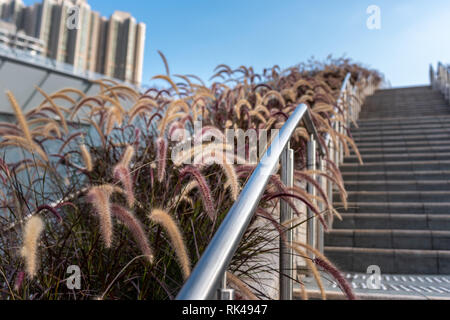 West Kowloon, Hong Kong May 04, 2019: Hongkong West Kowloon Station. Es ist die einzige Station in der Hong Kong Abschnitt und die Verbindung mit dem Festland Ch Stockfoto