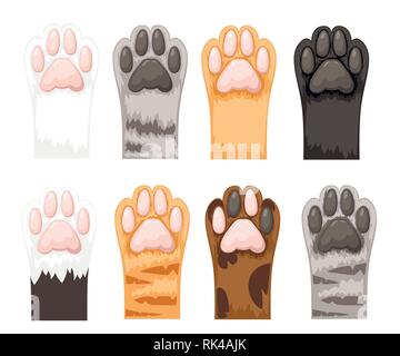 Andere Farbe cat Pfoten icon Sammlung. Süße Katze einen Fuß gesetzt. Flache Vector Illustration auf weißem Hintergrund. Stock Vektor