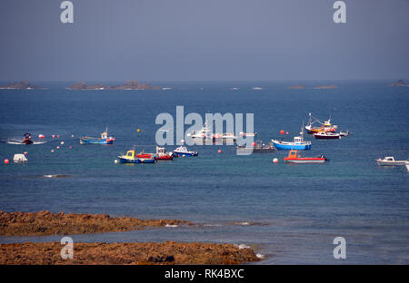 Viele kleine Fischerboote vertäut in L'eree Bay von der Küste weg auf Guernsey, Channel Islands.de. Stockfoto