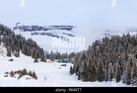 Skigebiet Laax. Schweiz Stockfoto