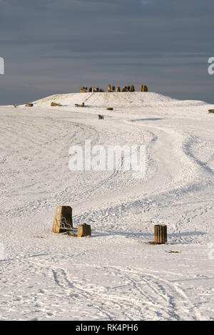 Ein Schnee Herrington Country Park, in Sunderland, North East England, Großbritannien Stockfoto