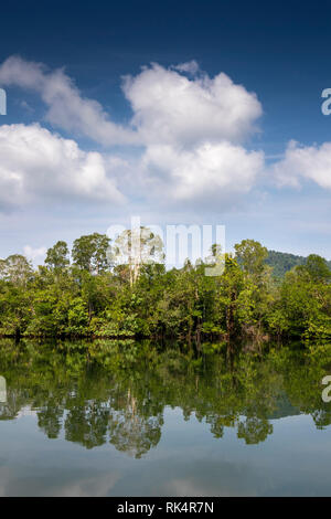 Kambodscha, Koh Kong Provinz, Andoung Tuek, Mangroven gesäumten Ufer des Preak Piphot Fluss auf dem Weg nach Chi Phat Stockfoto