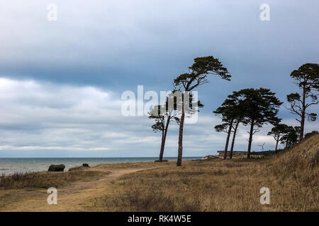 Blick auf eine stürmische Küste Strand am Morgen mit einsamen Bäumen. Lettland, Liepaja. Sonnenstrahlen durch die dramatische Wolken Stockfoto