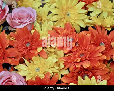 Schöner Stoff, Blumen in Gelb und Rot Stockfoto