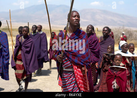 Serengeti, Tansania - 31. Juli 2008: Masai mit Speeren Durchführen einer rituellen Tanz in der Serengeti, Tansania bewaffnet. Stockfoto