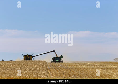 Gerste Ernte mit Mähdrescher (New Holland) in einen Chaser bin in der Nähe von Schloss Eyre Peninsula South Australia entladen Stockfoto