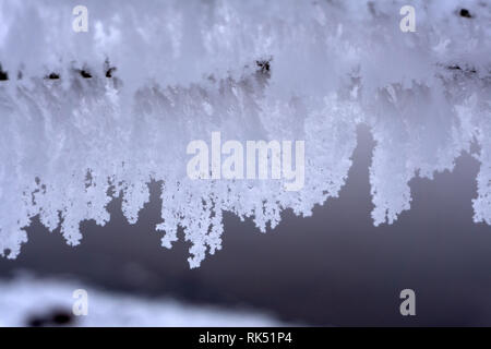 Weihnachtsbaum grüne Grenze mit großen goldenen Santa's reindeer Spielzeug hängenden Christbaumkugel traditionelle Ornament und Dekoration für den Winterurlaub auf Wh isoliert Stockfoto