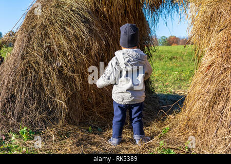 Kleines Kind in graue Jacke gekleidet, blaue Jeans und schwarzem Hut mit dem Rücken zur Kamera in riesigen Heuhaufen in Weizen Feld an sonnigen Herbsttag. Stockfoto