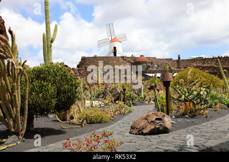 Kakteengarten auf Lanzarote-Insel, die von Cesar Manrique, Spanien entworfen wurde Stockfoto