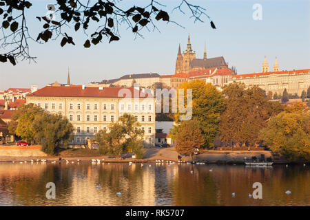 Prag - die Burg und die Kathedrale von der Moldau und im Herbst Blätter. Stockfoto