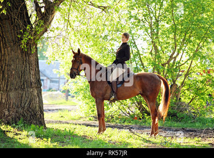 Schöne cowgirl Bareback ihr Pferd im Wald Lichtung bei Sonnenuntergang Stockfoto