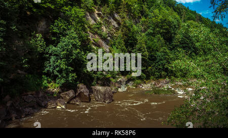 Starke Strömung und kochendem Wasser in Mountain River mit Spritzern. Schnelle Stream in den Karpaten, in der Ukraine. Steine in einem Berg River. Natürliche backgro Stockfoto