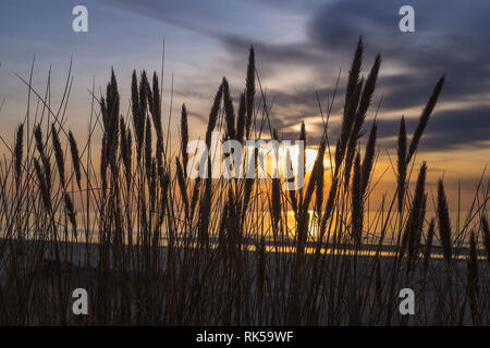 Hohe Dünen mit dune Grass und einem breiten Strand unten. Schuß auf einen Sonnenuntergang über der Ostsee. Stockfoto