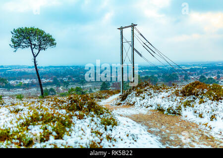 Landschaft Foto auf canford Heide im Winter mit Blick auf Poole Stadt. Mit selektiver Fokus auf Utility Pole genommen. Stockfoto