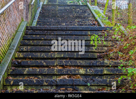 Steinerne Treppe in der Mitte der Natur, Architektur, Schritte in Blättern bedeckt, rutschige Treppen Stockfoto