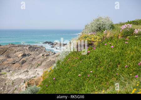 Die Küste von Newquay England Stockfoto