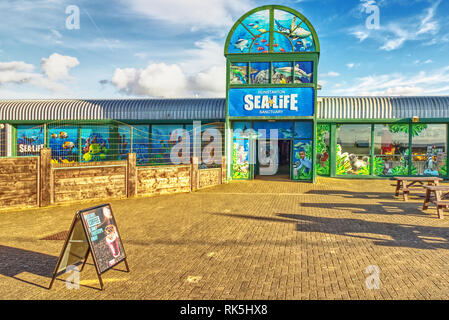 Das Sea Life Sanctuary in Hunstanton, Norfolk, England, UK ist ein Aquarium, das Marine Conservation arbeiten wie z.b. die Rettung von Dichtungen. Stockfoto