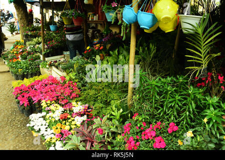 Guwahati, Assam, Indien - 02 Februar 2019: Frische Blumenmarkt Stockfoto