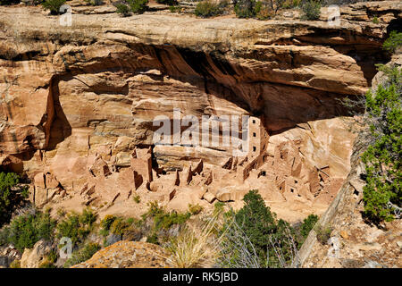 Square Tower House, Cliff dwellings in Mesa-Verde-Nationalpark, UNESCO-Weltkulturerbe, Colorado, USA, Nordamerika Stockfoto