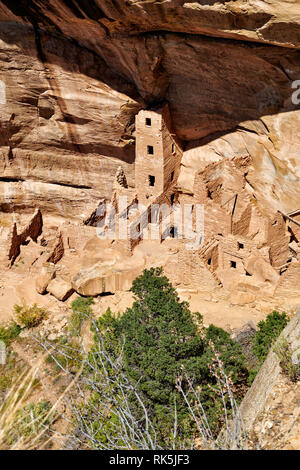 Square Tower House, Cliff dwellings in Mesa-Verde-Nationalpark, UNESCO-Weltkulturerbe, Colorado, USA, Nordamerika Stockfoto