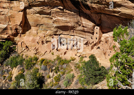 Square Tower House, Cliff dwellings in Mesa-Verde-Nationalpark, UNESCO-Weltkulturerbe, Colorado, USA, Nordamerika Stockfoto