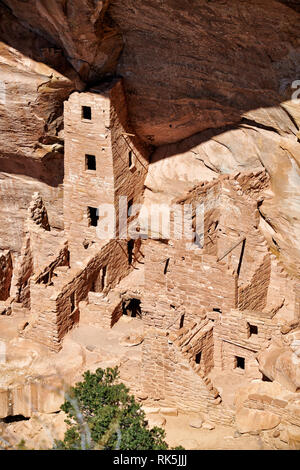 Square Tower House, Cliff dwellings in Mesa-Verde-Nationalpark, UNESCO-Weltkulturerbe, Colorado, USA, Nordamerika Stockfoto