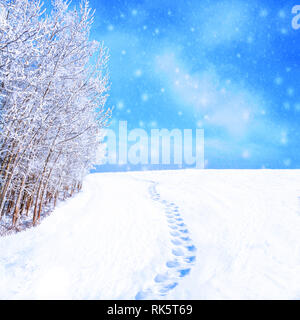 Winterlandschaft mit Fußabdrücke auf Schnee Weg entlang Bäume mit Schnee bedeckt nach frischen, starker Schneefall. Thema Weihnachten und Kopieren. Stockfoto