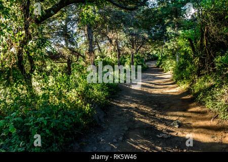 Schmutz Farm Road durch die Wälder im guatemaltekischen Hochland, Mittelamerika Stockfoto