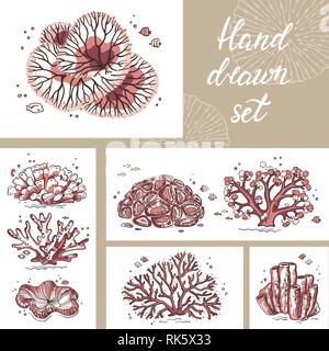 Wunderschöne Korallen Karte für Drucken. Art Shop Kreis Vorlage mit Platz für Text. Vektor Symbol Leitung von Ton Studio Tools. Stock Vektor