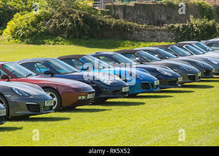 Porsche Cars in Linie auf Gras geparkt Stockfoto