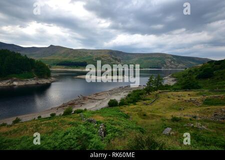 Holz Howe Island auf Haweswater Reservoir Stockfoto