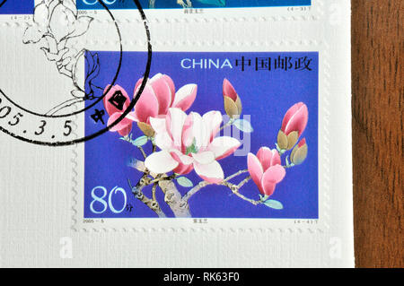 CHINA - ca. 2005: einen Stempel in China gedruckt zeigt 2005-5 Yulan Magnolia, ca. 2005 Stockfoto