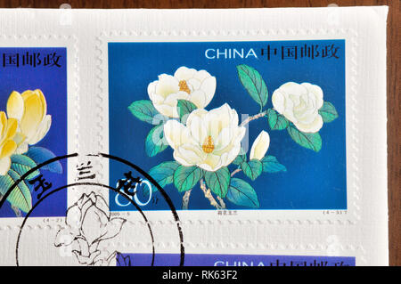 CHINA - ca. 2005: einen Stempel in China gedruckt zeigt 2005-5 Yulan Magnolia, ca. 2005 Stockfoto