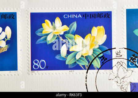 CHINA - ca. 2005: einen Stempel in China gedruckt zeigt 2005-5 Yulan Magnolia, ca. 2005 Stockfoto