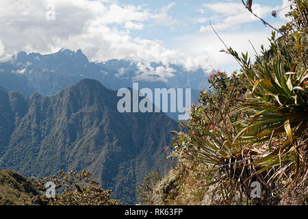 Nähert sich der Höhepunkt der Machu Picchu Mountain Stockfoto