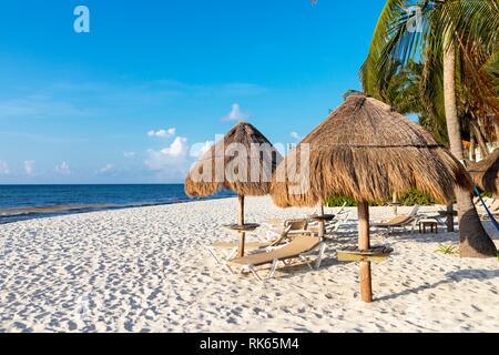 Sonnenliegen oder Chaiselongue longe Sonnenliegen unter strohgedeckten Sonnenschirmen legten sie einen luxuriösen tropischen Strand mit Palmen entlang der karibischen Küste der Sta Stockfoto