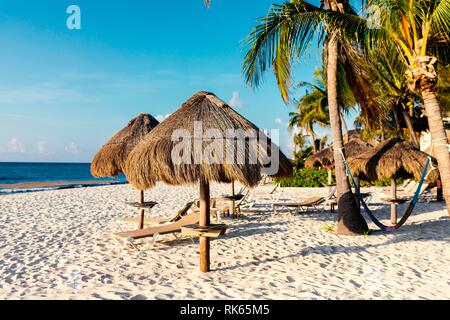 Sonnenliegen oder Chaiselongue longe Sonnenliegen unter strohgedeckten Sonnenschirmen legten sie einen luxuriösen tropischen Strand mit Palmen entlang der karibischen Küste der Sta Stockfoto