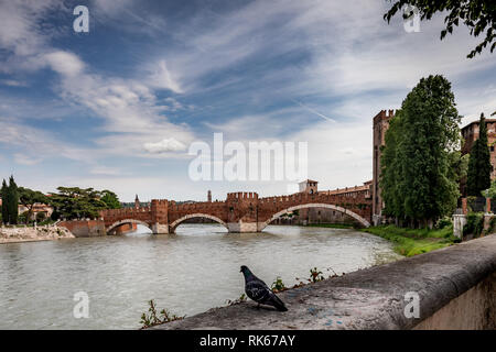 Ponte di Castelvecchio (Scaliger Brücke), eine befestigte Brücke in Verona, Italien, über die Etsch. Es ist ein Teil der Festung Castelvecchio. Stockfoto