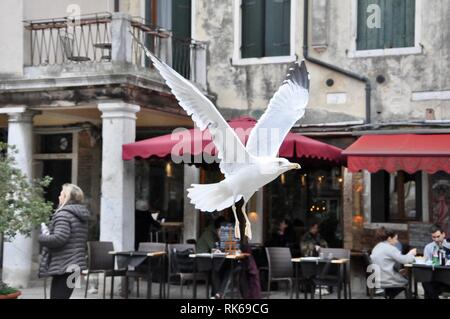 Klassische Venedig mit den typischen Gebäude und Straßen Stockfoto