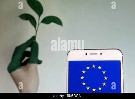 Hong Kong. 8 Feb, 2019. Fahne der Europäischen Union ist auf ein Android mobiles Gerät, das Bewusstsein für den Klimawandel im Hintergrund zu sehen. Credit: Miguel Candela/SOPA Images/ZUMA Draht/Alamy leben Nachrichten Stockfoto