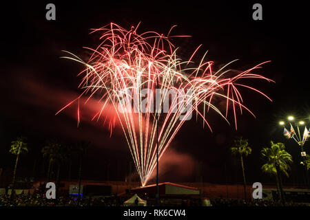 Foto Iacopo Giannini/LaPresse 09-02-2019 Viareggio (Lucca) ItaliacronacaHa avuto Inizio sul Lungomare Di Viareggio la 146 edizione del famoso Carnevale, un-occhio particolare alle tematiche delle Donne. Tra le Karikatur pi&#xf9; celebri che si trovano sui Grandi carri mascherati troviamo, Frida Kahlo, Conte, Salvini, Di Maio e soprattutto Trump Nella Foto: Le immagini della manifestazione Stockfoto