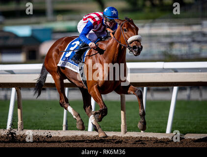 Arcadia, CA, USA. 10 Feb, 2019. Februar 09, 2019: Bellafina mit Flavien Prat gewinnt die Las Virgenes Stangen bei Santa Anita Park am 09 Februar, 2019 in Arcadia, Kalifornien. Evers/Eclipse Sportswire/CSM/Alamy leben Nachrichten Stockfoto