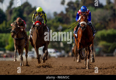 Arcadia, CA, USA. 9 Feb, 2019. Februar 09, 2019: Bellafina mit Flavien Prat (rechts) Niederlagen Enaya Alrabb mit Mike Smith der Las Virgenes Stangen bei Santa Anita Park am 09 Februar, 2019 in Arcadia, Kalifornien, zu gewinnen. Evers/Eclipse Sportswire/CSM/Alamy leben Nachrichten Stockfoto