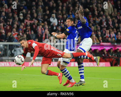 München, Deutschland. 9 Feb, 2019. Schalke 04 die Jeffrey Bruma (C) Kerben ein Eigentor während eines Deutschen Bundesligaspiel zwischen Bayern München und der FC Schalke 04, in München, Deutschland, Jan. 9, 2019. Bayern München gewann 3-1. Credit: Philippe Ruiz/Xinhua/Alamy leben Nachrichten Stockfoto