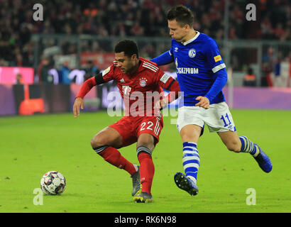 München, Deutschland. 9 Feb, 2019. Bayern München Serge Gnabry (L) Mias mit Schalke 04 die Yevhen Konoplianka während eines Deutschen Bundesligaspiel zwischen Bayern München und der FC Schalke 04, in München, Deutschland, Jan. 9, 2019. Bayern München gewann 3-1. Credit: Philippe Ruiz/Xinhua/Alamy leben Nachrichten Stockfoto